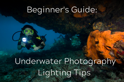 Beginner's Guide: Underwater Photography Lighting Tips