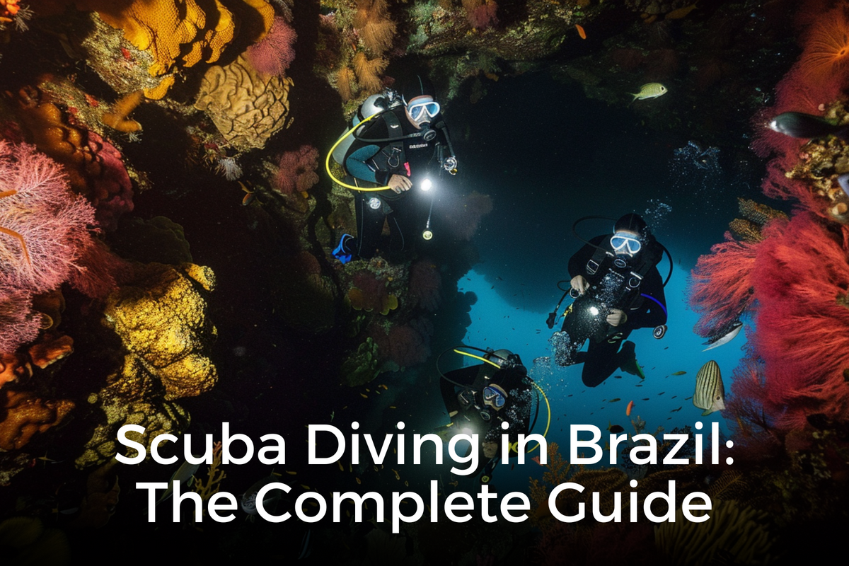 Scuba Diving in Brazil: The Complete Guide – Underwater Kinetics