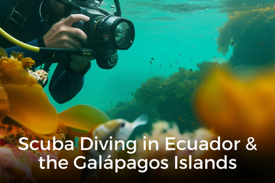 Scuba Diving in Ecuador & the Galápagos Islands