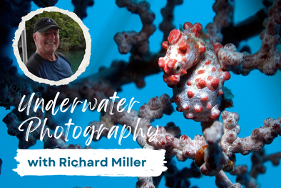 Exclusive Interview: Underwater Photography with Richard Miller