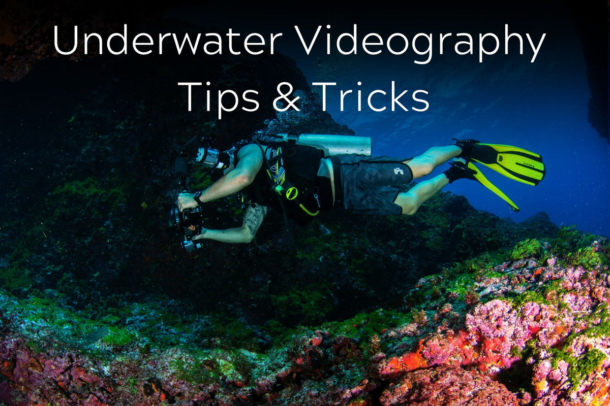 underwater videography tips & tricks – underwater... Underwater Videography Tips & Tricks – Underwater Kinetics