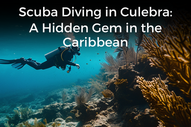 Scuba Diving in Culebra: A Hidden Gem in the Caribbean