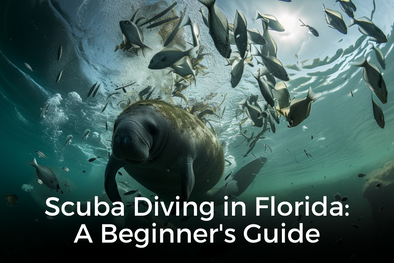 Scuba Diving in Florida: A Beginner's Guide
