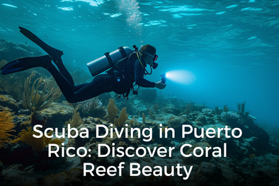 Scuba Diving in Puerto Rico: Discover Coral Reef Beauty