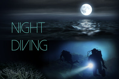 The Ultimate Guide to Night Diving